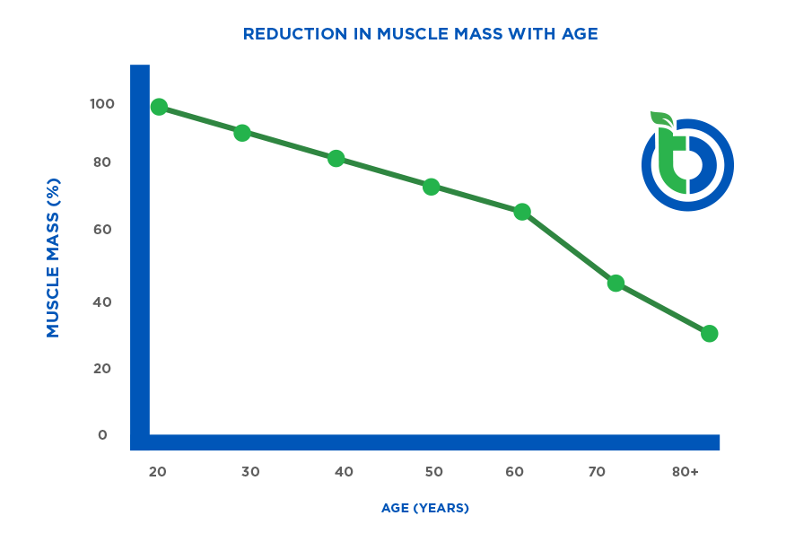 Muscle mass decline with age graph