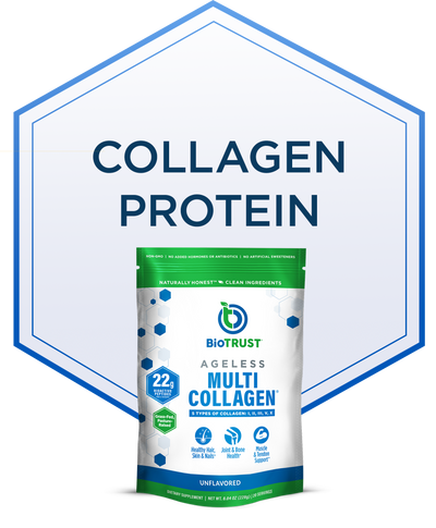 COLLAGEN PROTEIN