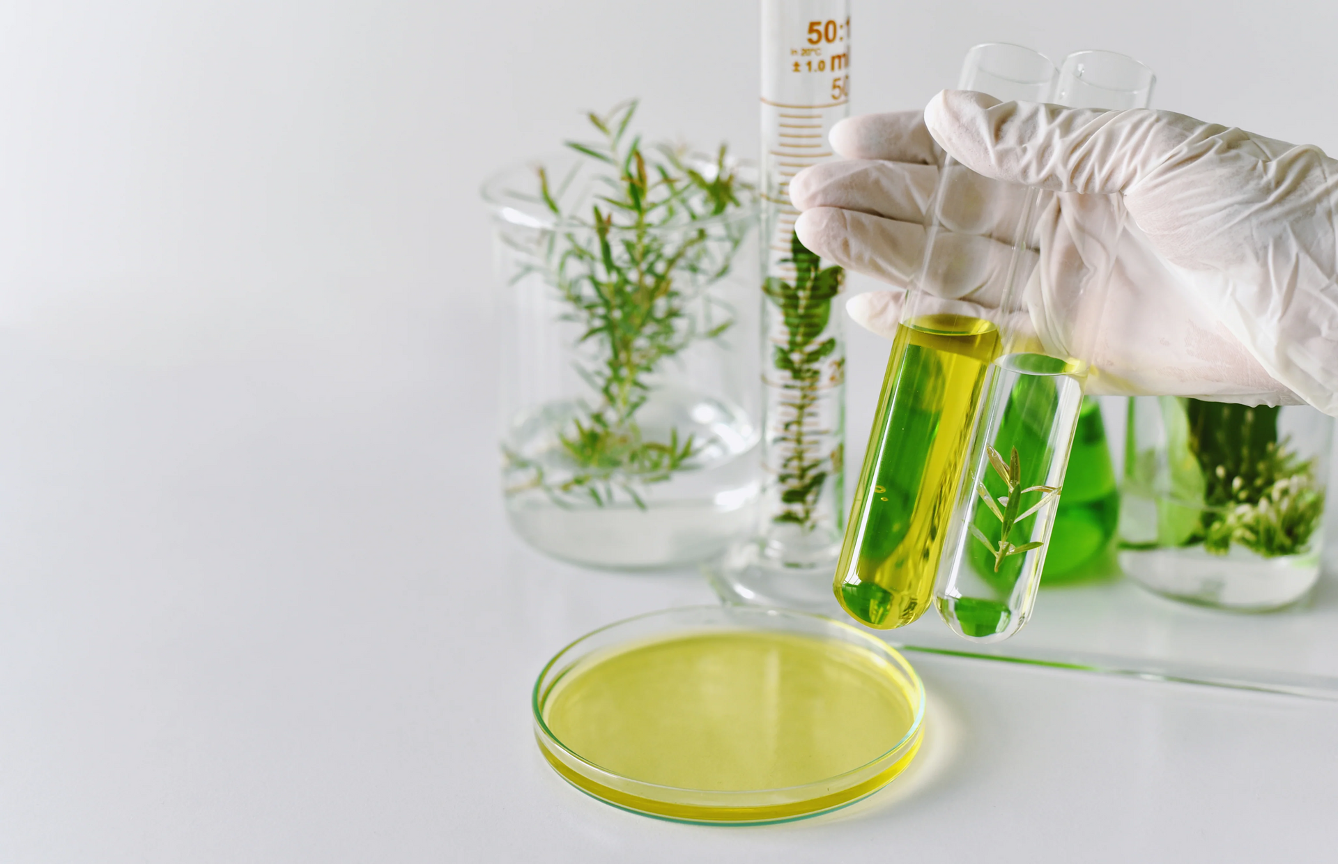Powered by Science for Healthy Aging