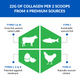 AGELESS MULTI-COLLAGEN® PROTEIN POWDER