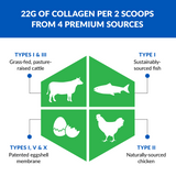 Ageless Multi-Collagen Protein Powder thumbnail 10