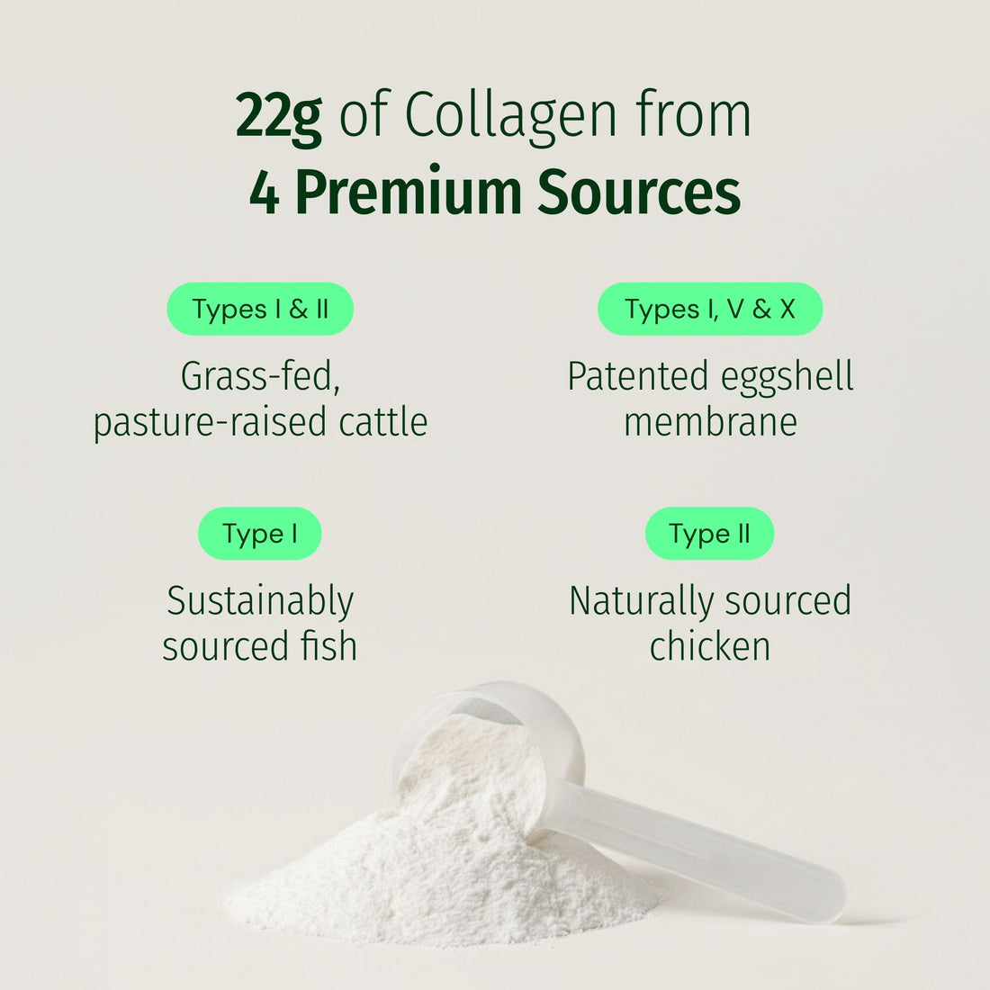 AGELESS MULTI-COLLAGEN® PROTEIN POWDER - Image 4 of 13