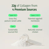 AGELESS MULTI-COLLAGEN® PROTEIN POWDER thumbnail 4