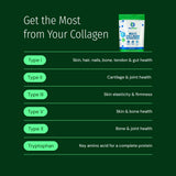 AGELESS MULTI-COLLAGEN® PROTEIN POWDER thumbnail 5