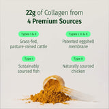 Ageless Multi Collagen® + Turmeric thumbnail 3