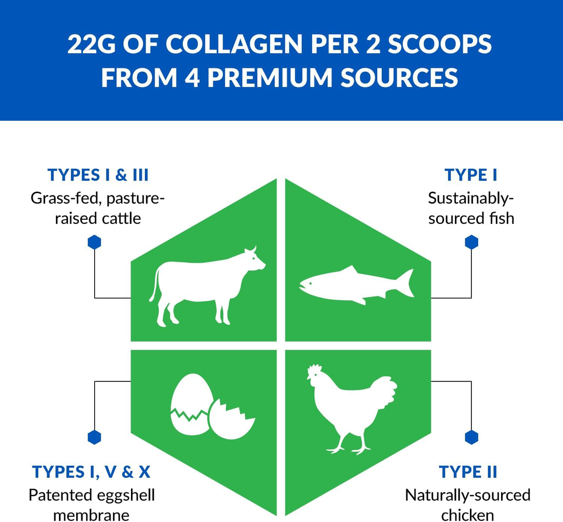 Ageless Multi-Collagen® + Keto – Premium Keto Collagen Powder - Image 4 of 8