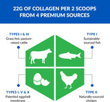 Ageless Multi-Collagen® + Keto – Premium Keto Collagen Powder thumbnail 4