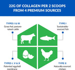 Ageless Multi-Collagen® + Turmeric — Golden Milk Flavor thumbnail 3