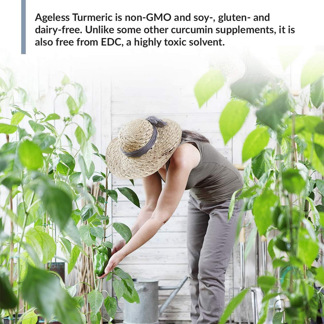 Ageless Turmeric® — Optimized Curcumin Supplement - Image 5 of 8