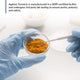 Ageless Turmeric® — Optimized Curcumin Supplement