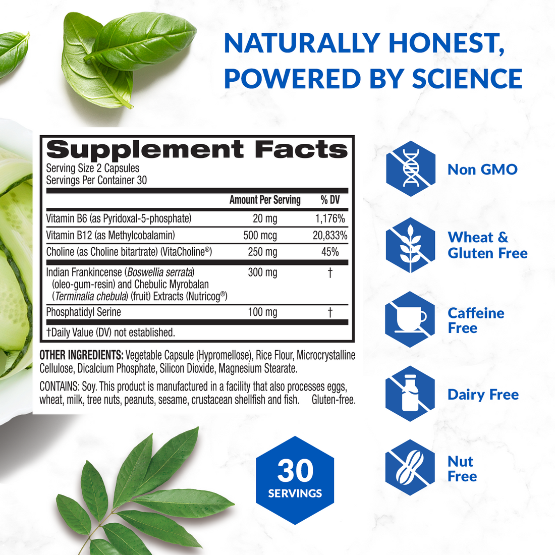 ETERNAL MIND® Brain Health Supplement for Longevity and Cognition - Image 6 of 6