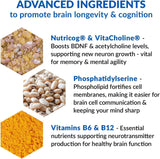 ETERNAL MIND® Brain Health Supplement for Longevity and Cognition thumbnail 4