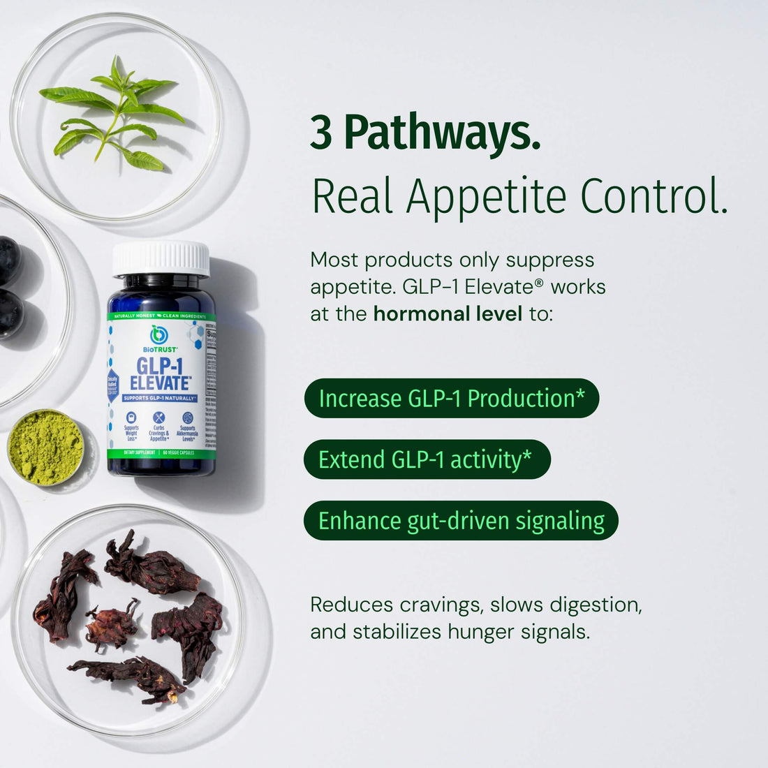 GLP-1 Elevate® - Image 3 of 6