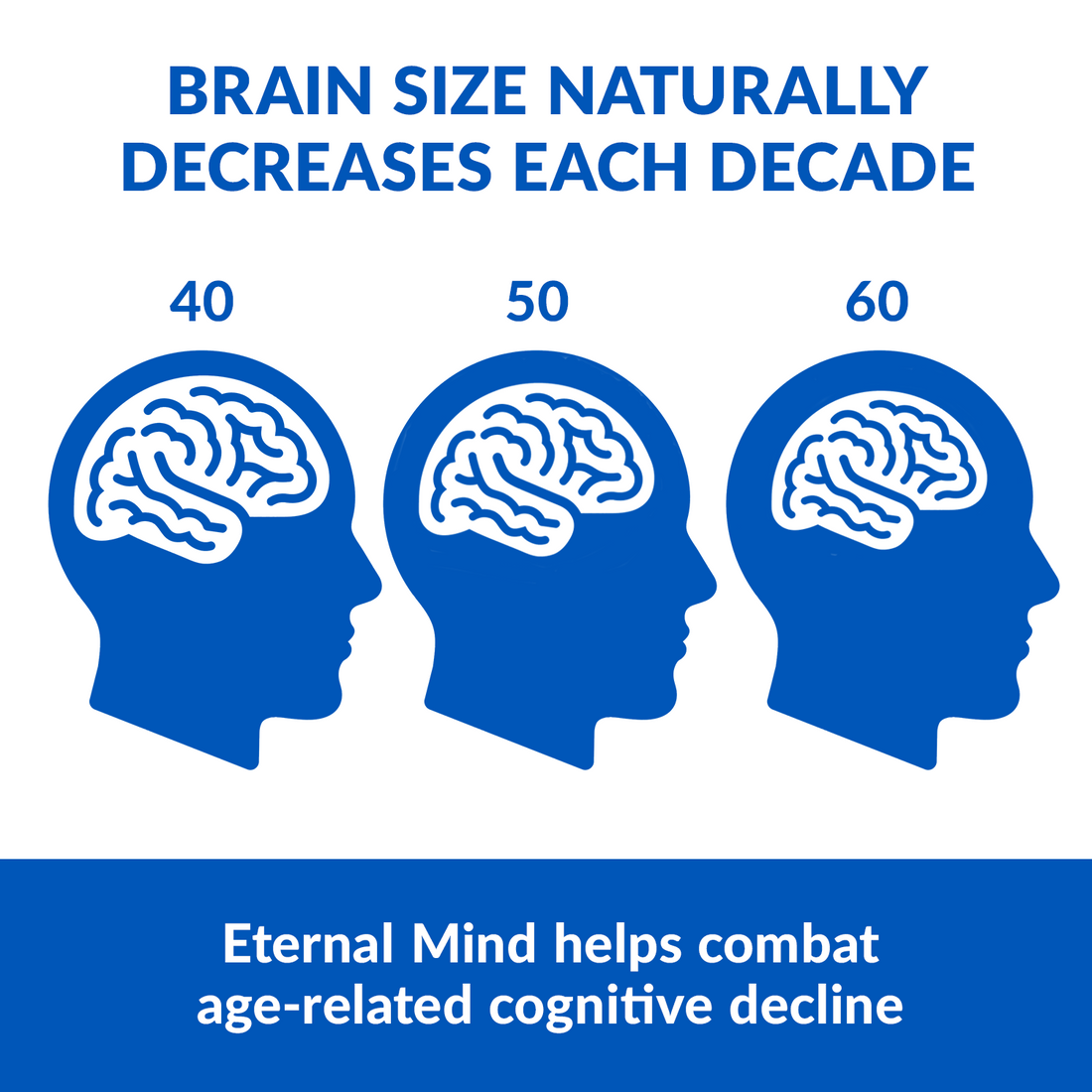 Eternal Mind (6 Pack) - Image 2 of 7