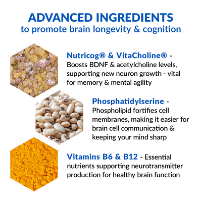 Eternal Mind - Image 5