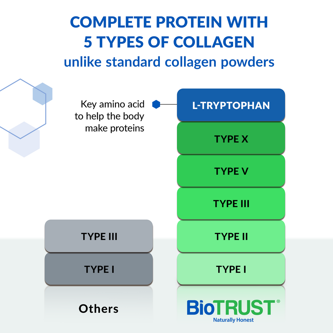 AGELESS MULTI-COLLAGEN® PROTEIN POWDER - Image 2 of 15