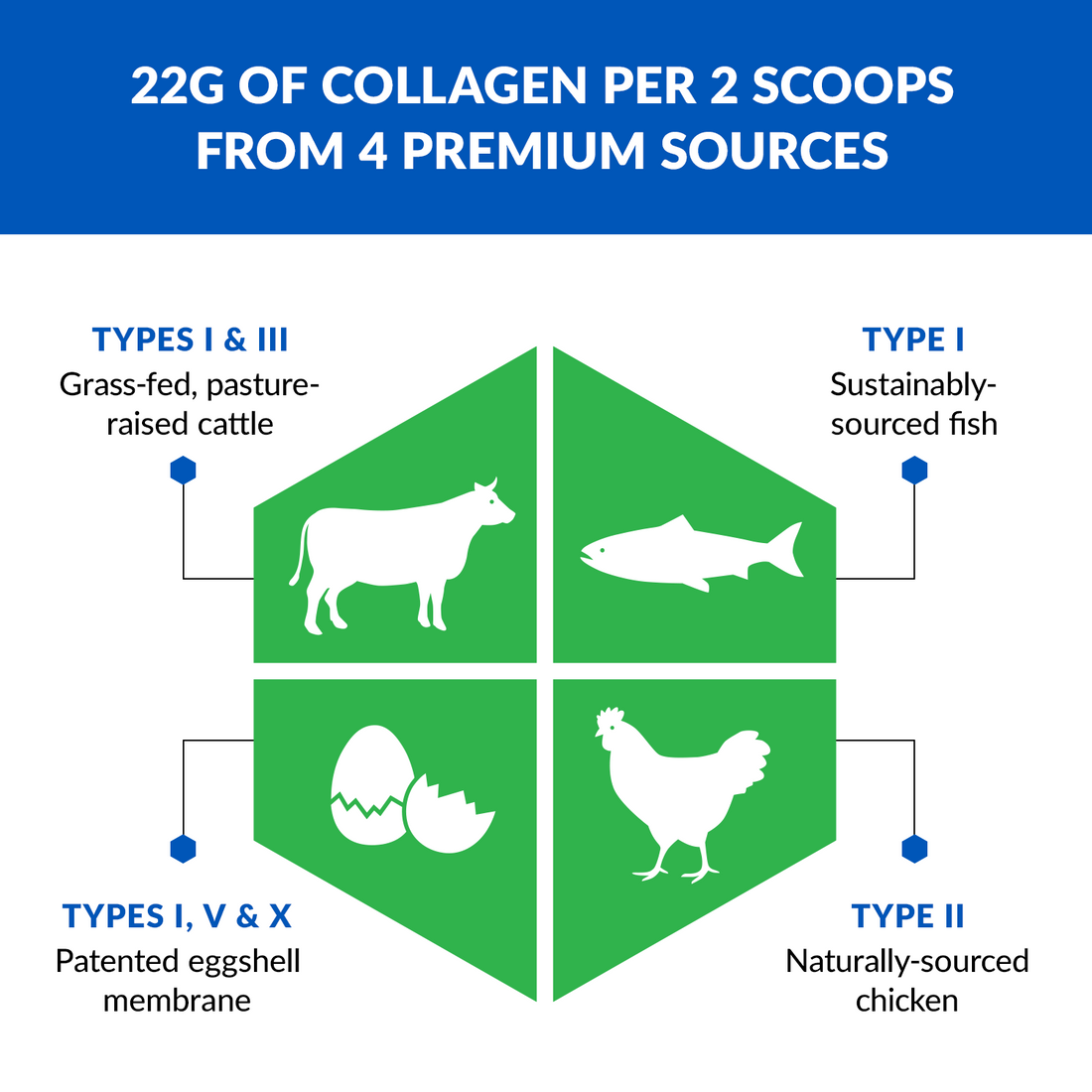 AGELESS MULTI-COLLAGEN® PROTEIN POWDER - Image 3 of 15