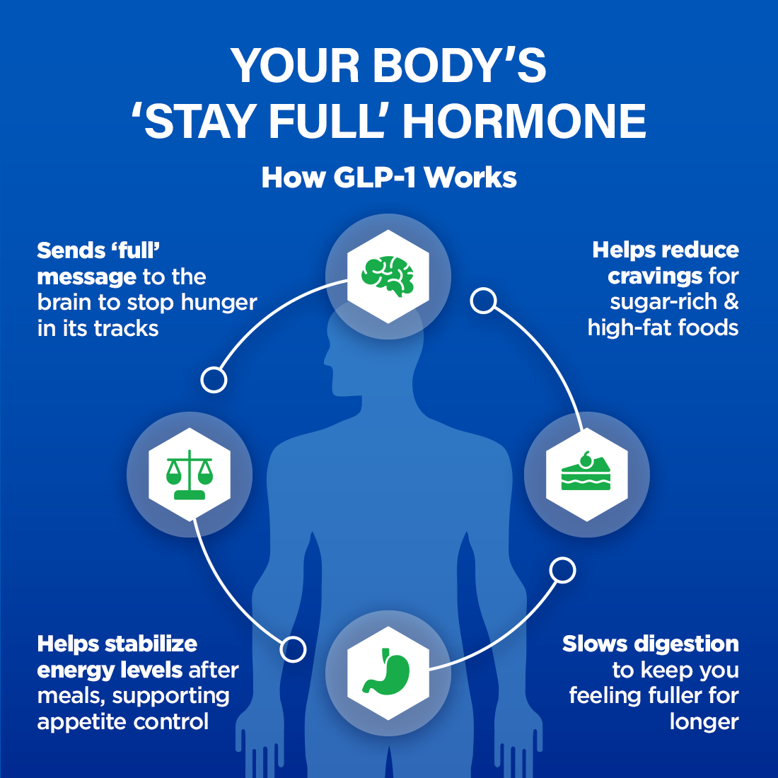 GLP-1 ELEVATE - GLP-1 SUPPORT SUPPLEMENT - Image 3 of 8