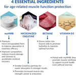 Ageless Muscle — Rebuild & Preserve Muscle thumbnail 5