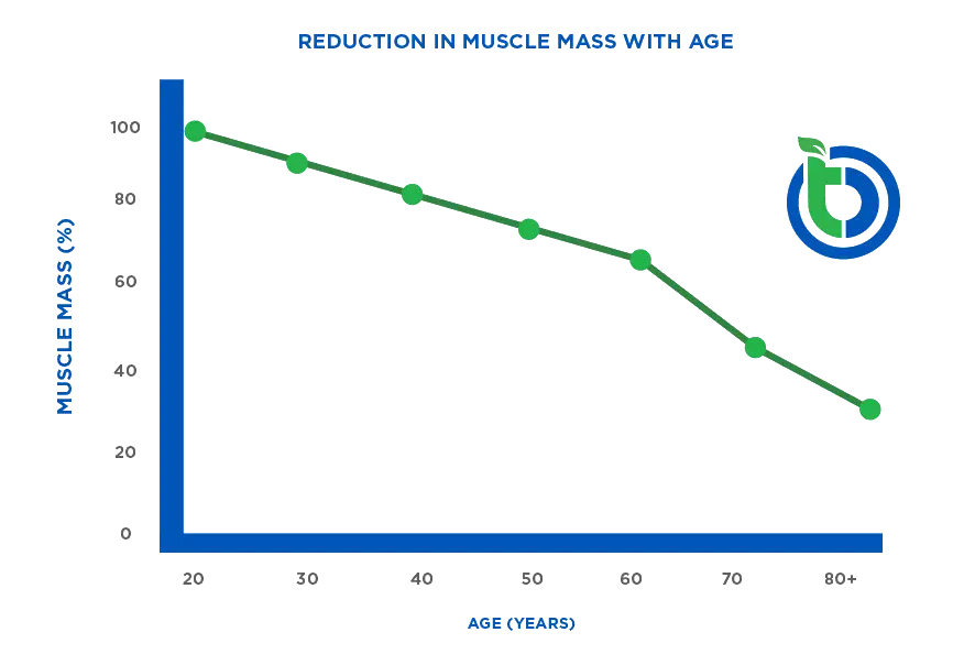 Muscle mass decline with age graph